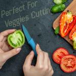 Professional Colorful Kitchen Knives Set of 6 Pieces, Non-Stick Blades with High Carbon Stainless Steel